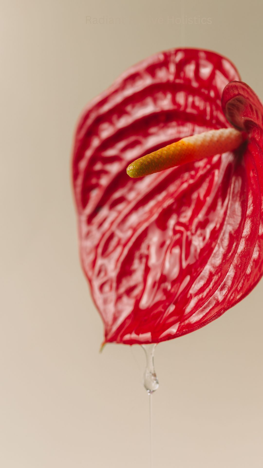 Your paragraph text (4)